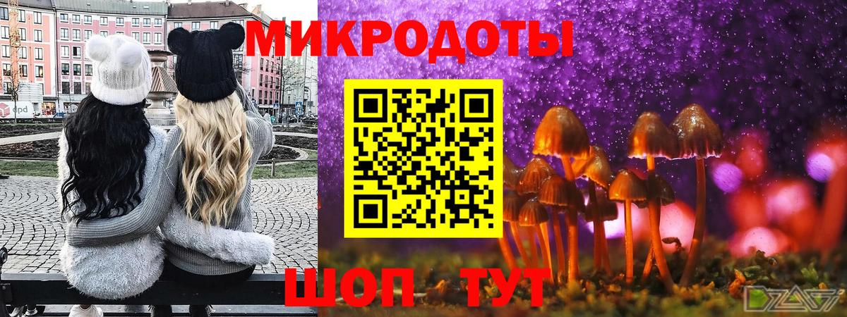 Кандалакша  Галлюциногенные грибы мицелий  Вход с VPN  купить наркоту  Псилоцибиновые грибы MAGIC MUSHROOMS 